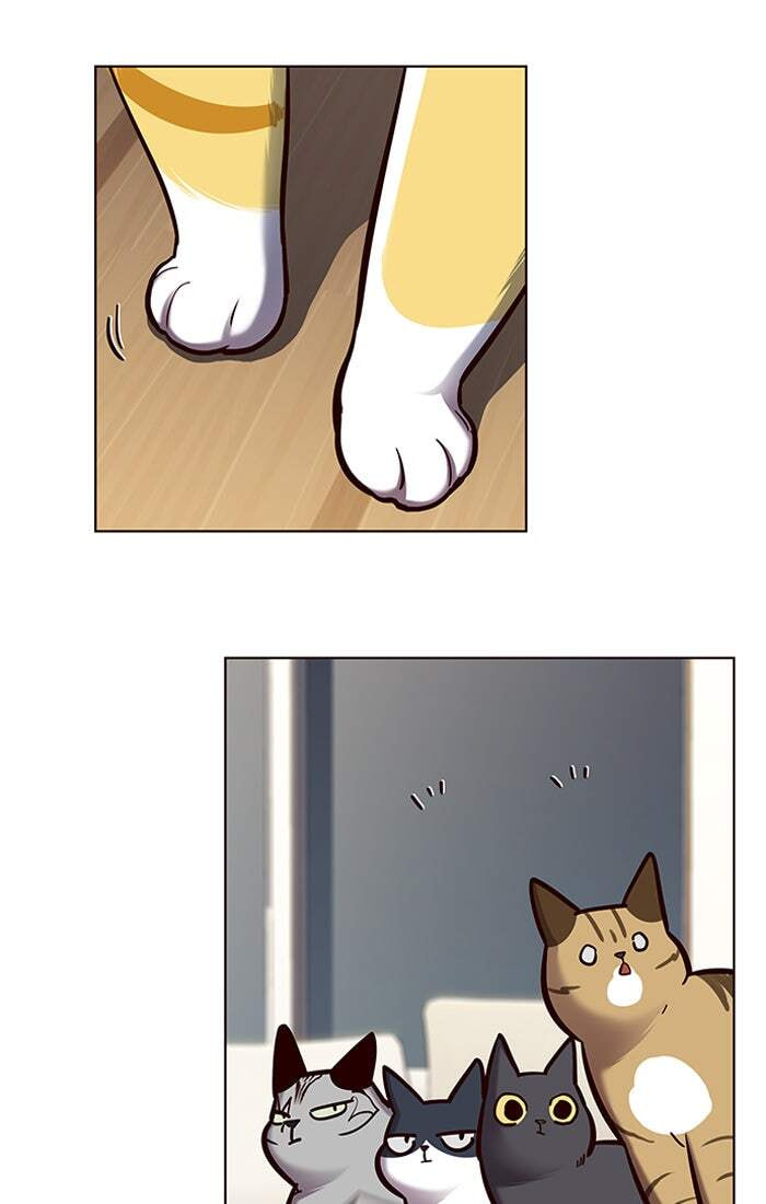Eleceed Chapter 123 page 83 - 