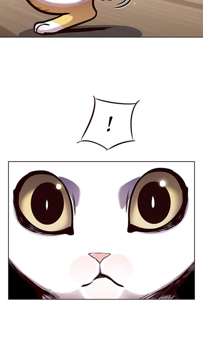 Eleceed Chapter 144 page 25 - 