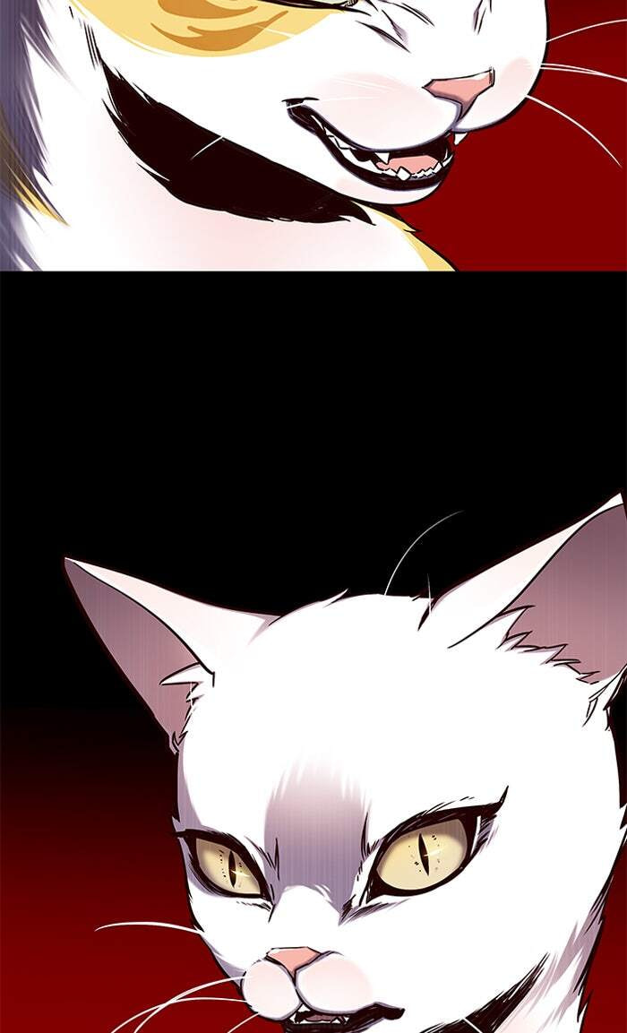 Eleceed Chapter 146 page 54 - 