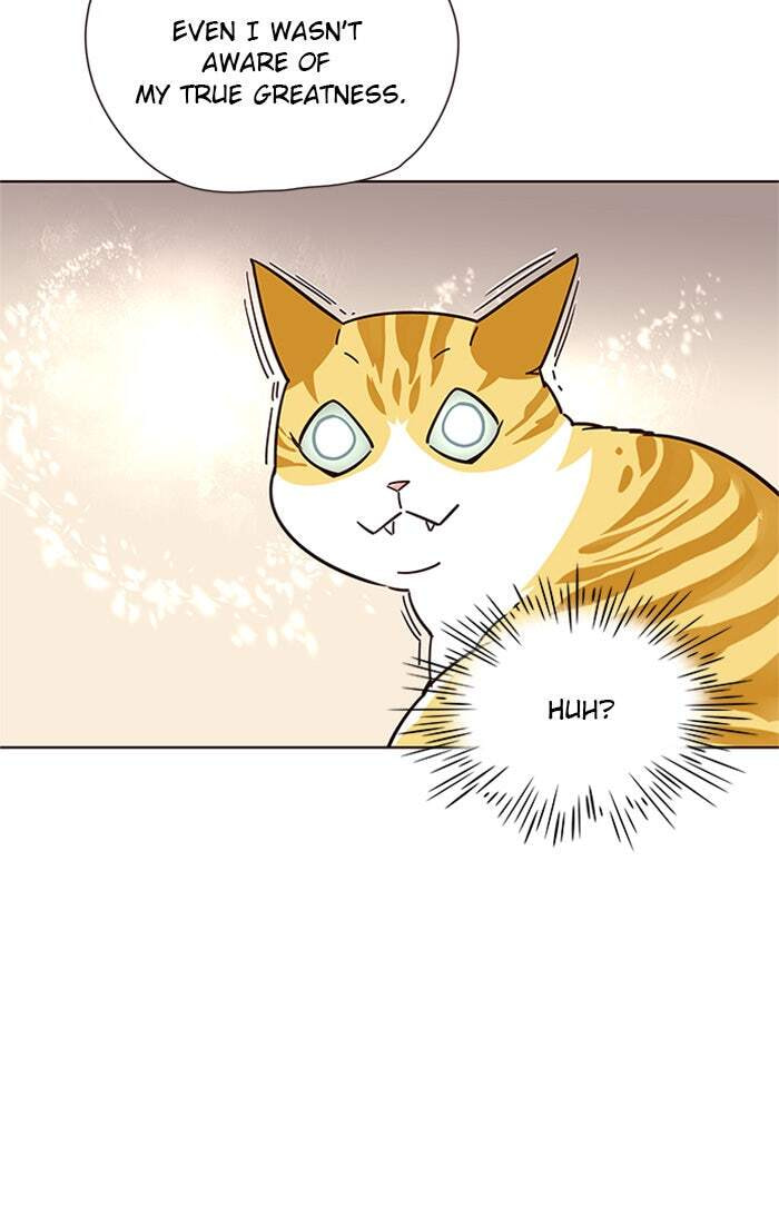 Eleceed Chapter 16 page 26 - 