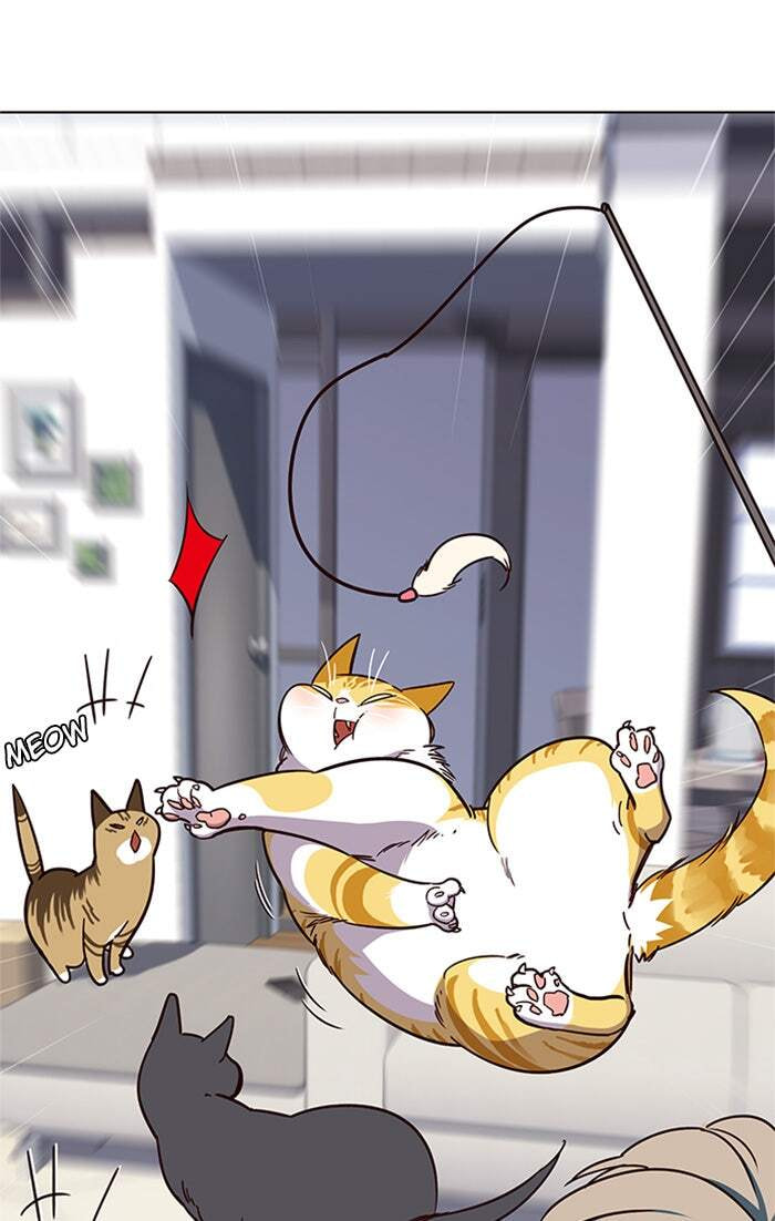 Eleceed Chapter 16 page 29 - 