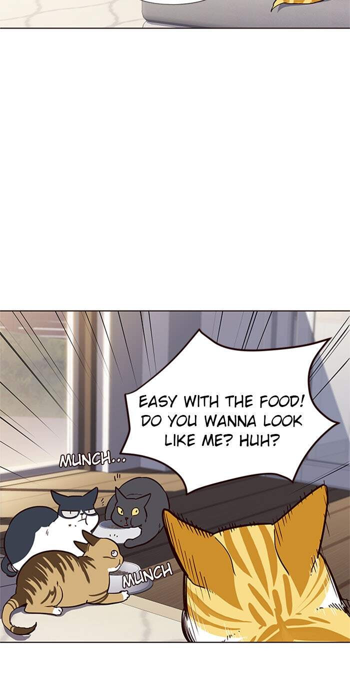 Eleceed Chapter 17 page 43 - 