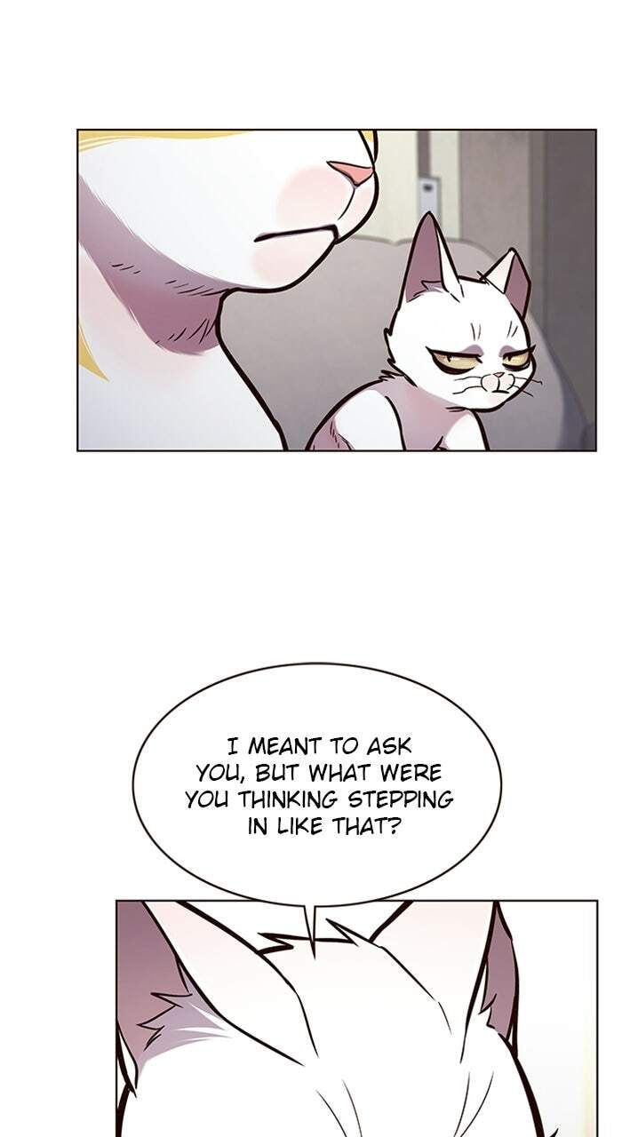 Eleceed Chapter 173 page 44 - 