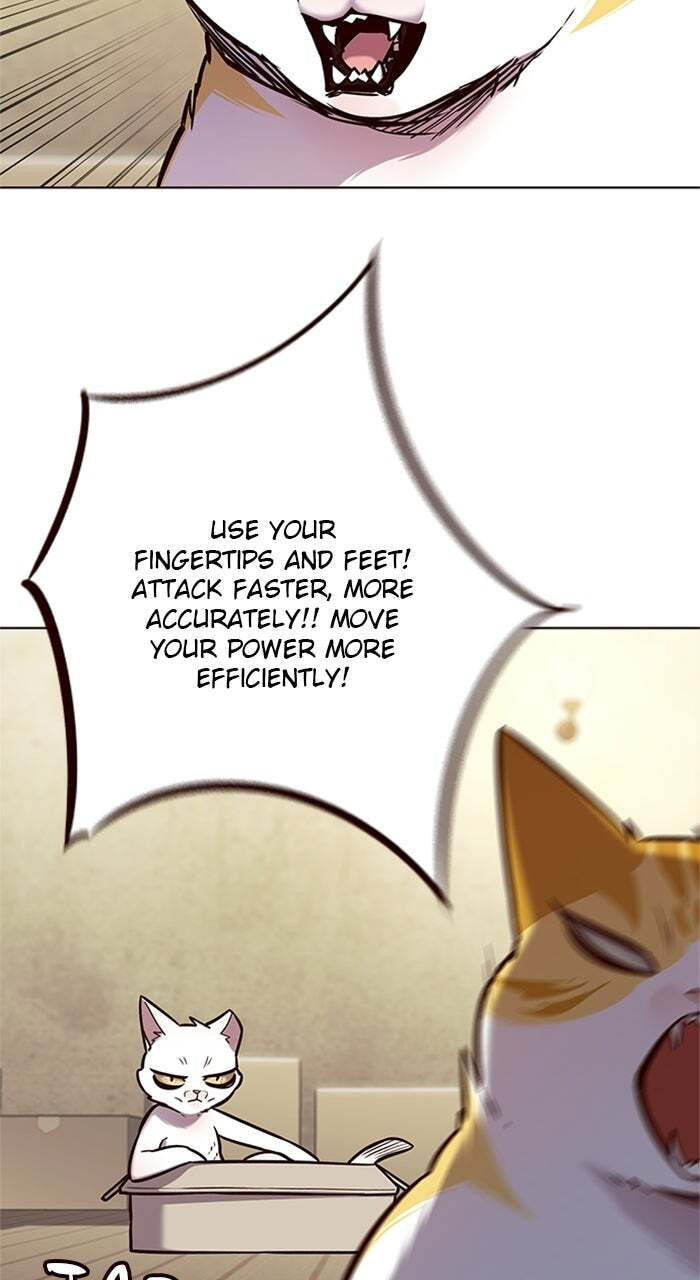 Eleceed Chapter 174 page 47 - 