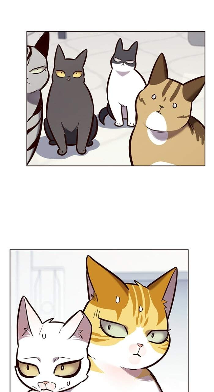 Eleceed Chapter 188 page 28 - 