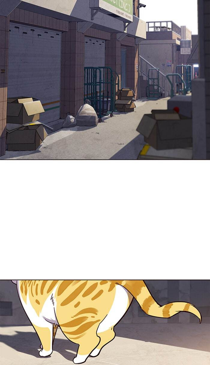 Eleceed Chapter 19 page 63 - 