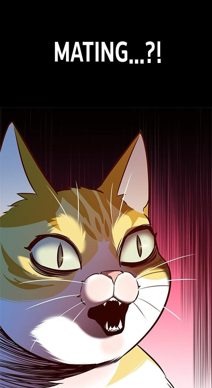 Eleceed Chapter 196 page 42 - 