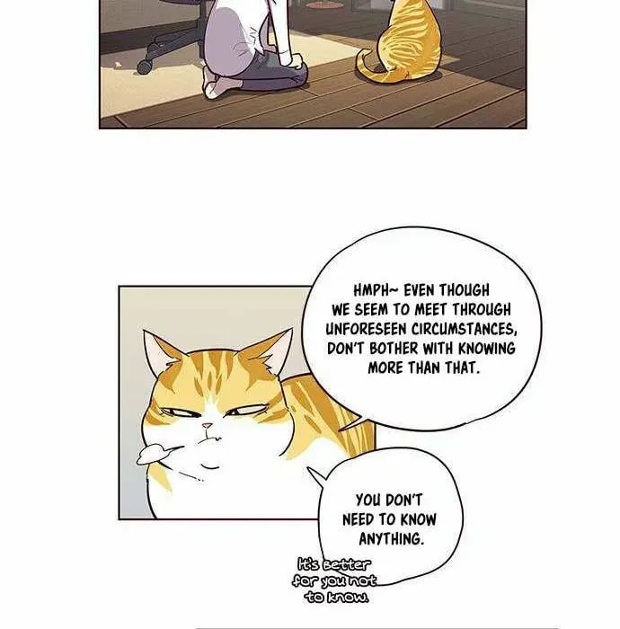 Eleceed Chapter 2.1 page 16 - 