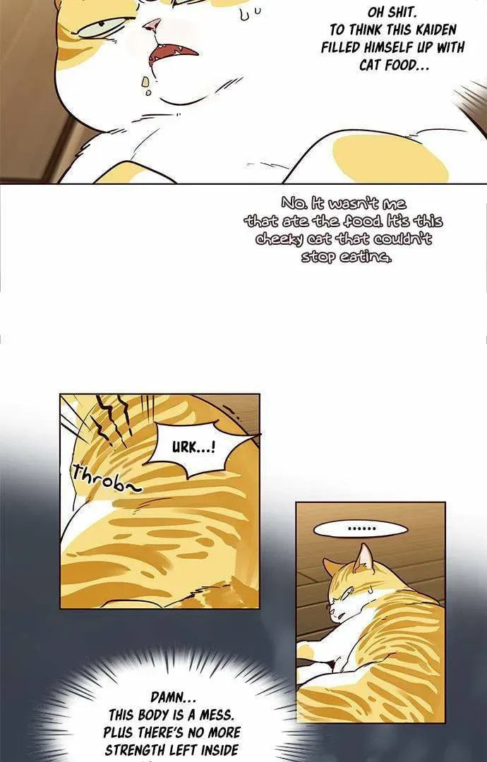 Eleceed Chapter 2.1 page 24 - 