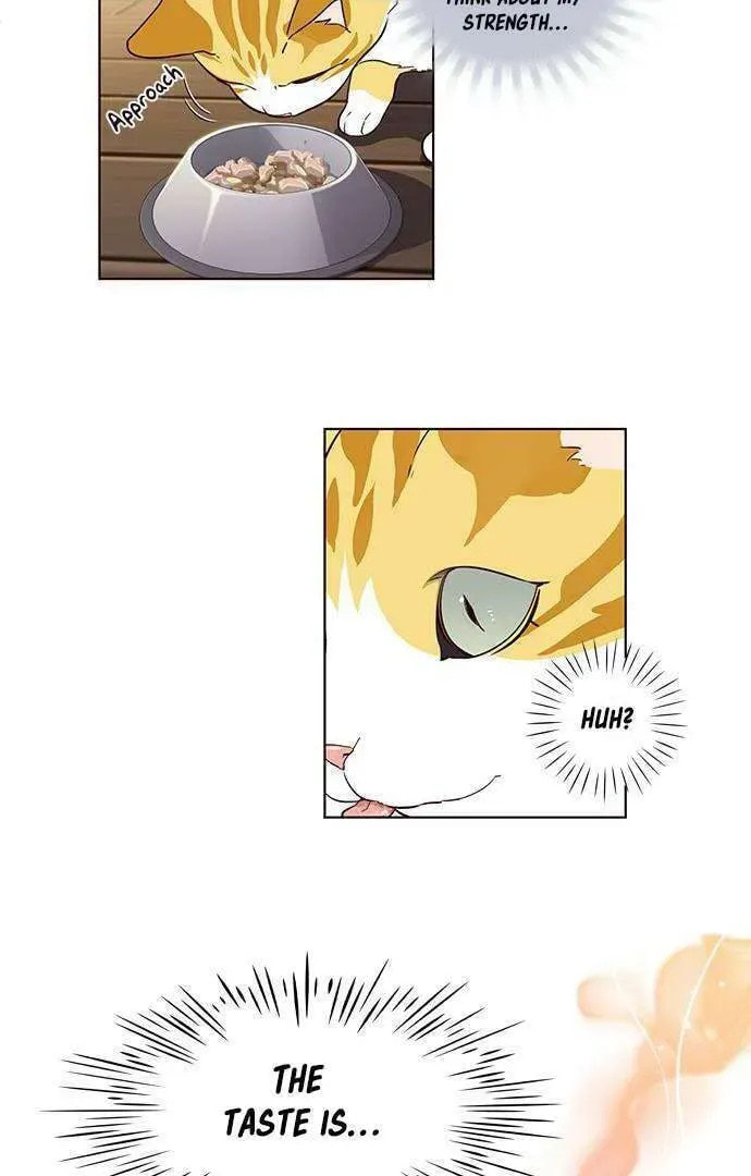 Eleceed Chapter 2.1 page 27 - 