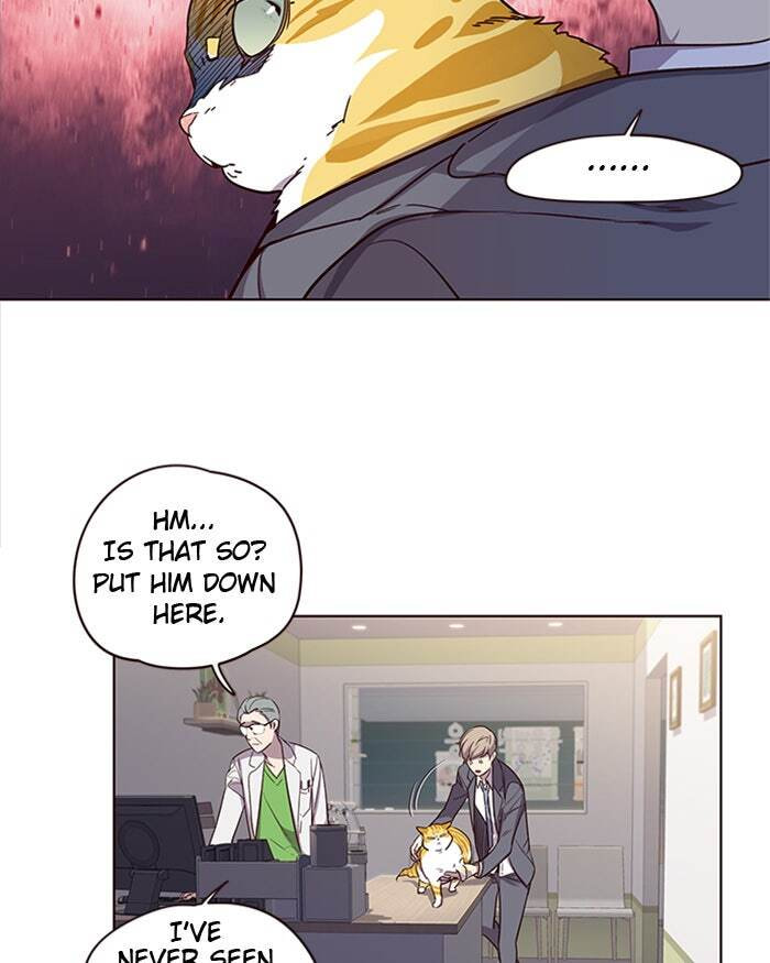 Eleceed Chapter 2 page 50 - 