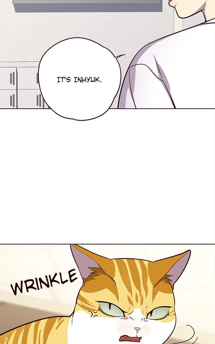 Eleceed Chapter 22 page 31 - 