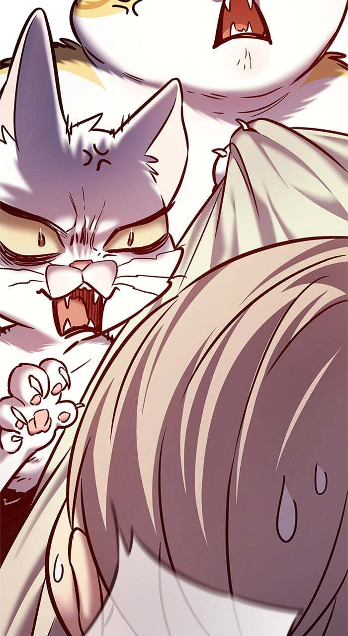 Eleceed Chapter 225 page 66 - 