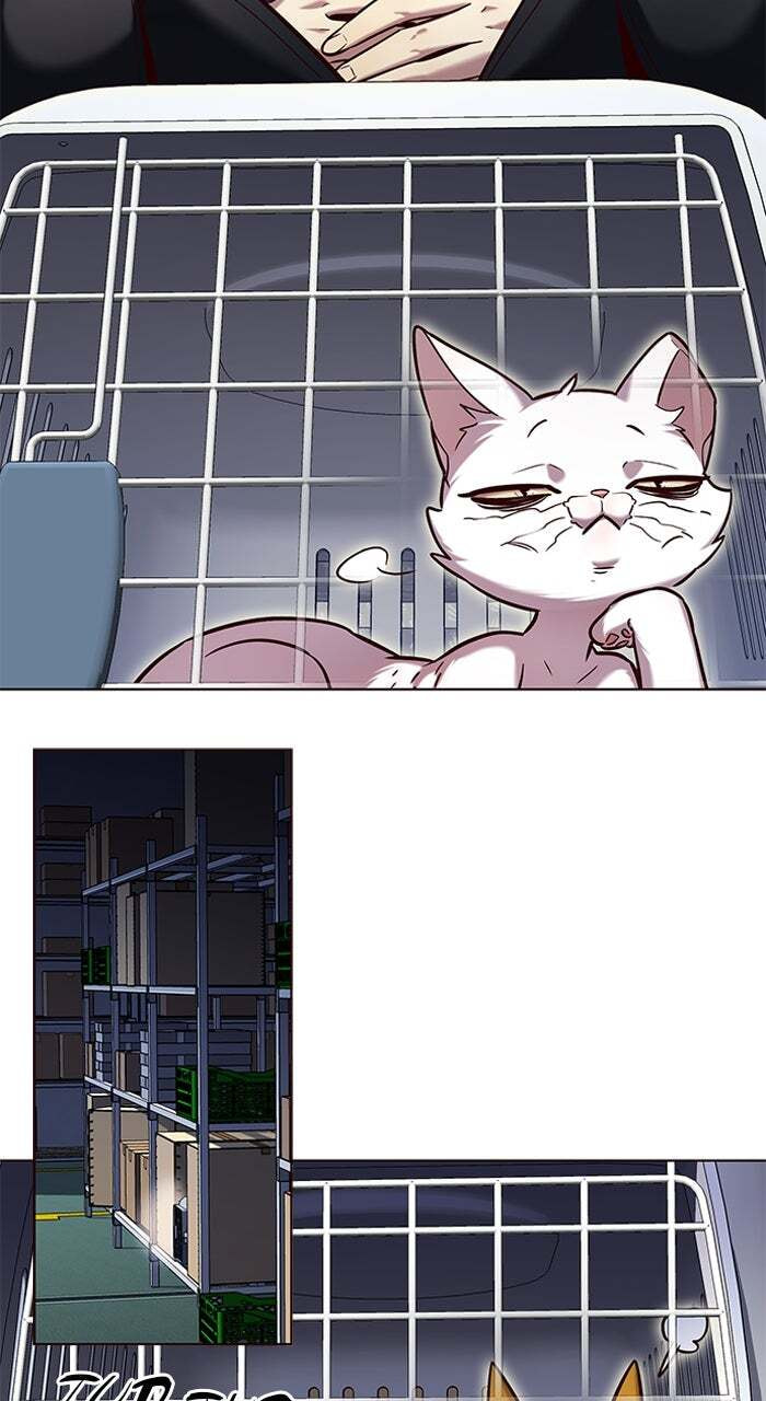 Eleceed Chapter 231 page 27 - 
