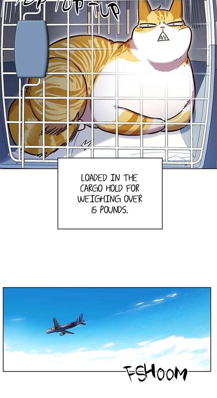 Eleceed Chapter 231 page 28 - 