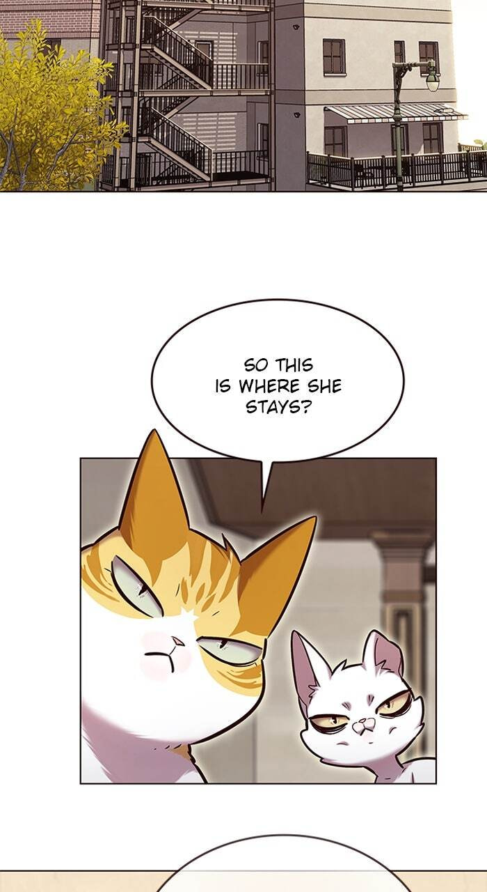 Eleceed Chapter 231 page 31 - 
