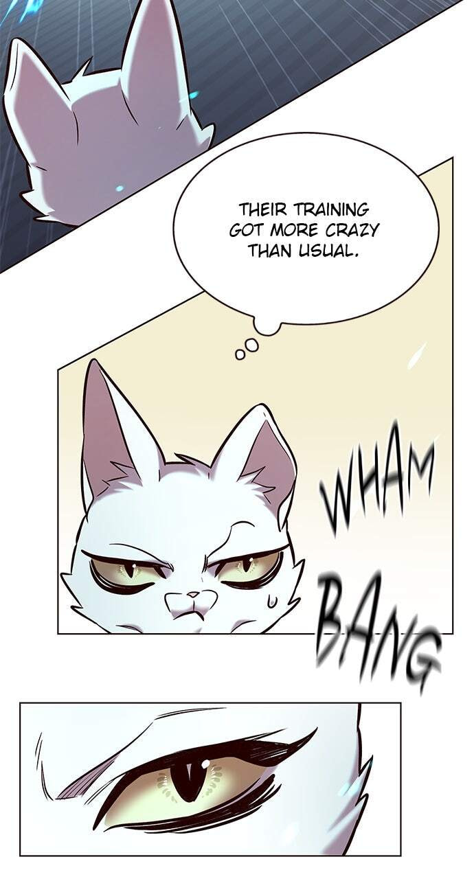 Eleceed Chapter 241 page 17 - 