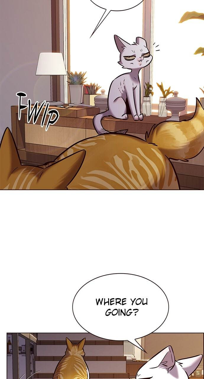 Eleceed Chapter 241 page 84 - 
