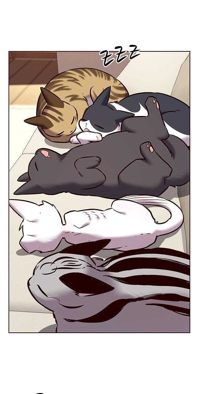 Eleceed Chapter 243 page 77 - 