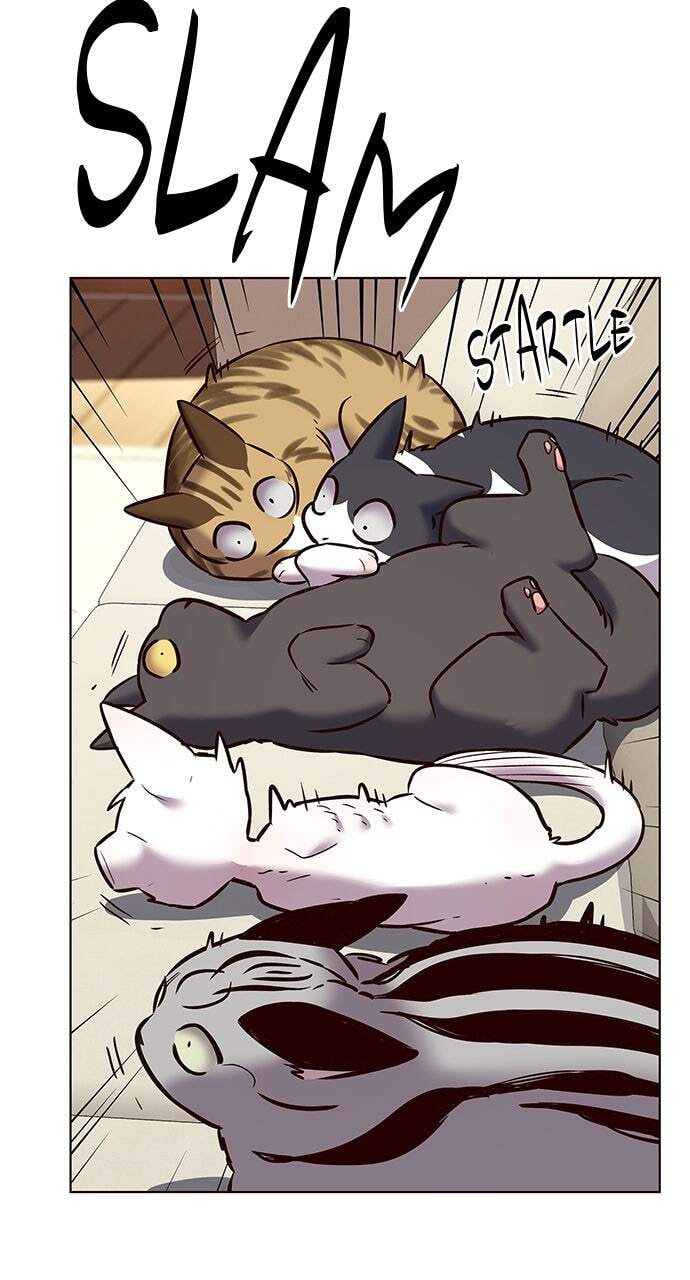 Eleceed Chapter 243 page 78 - 