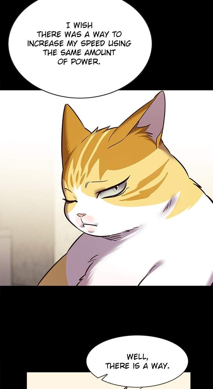 Eleceed Chapter 244 page 21 - 