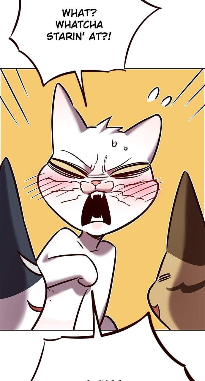 Eleceed Chapter 262 page 81 - 