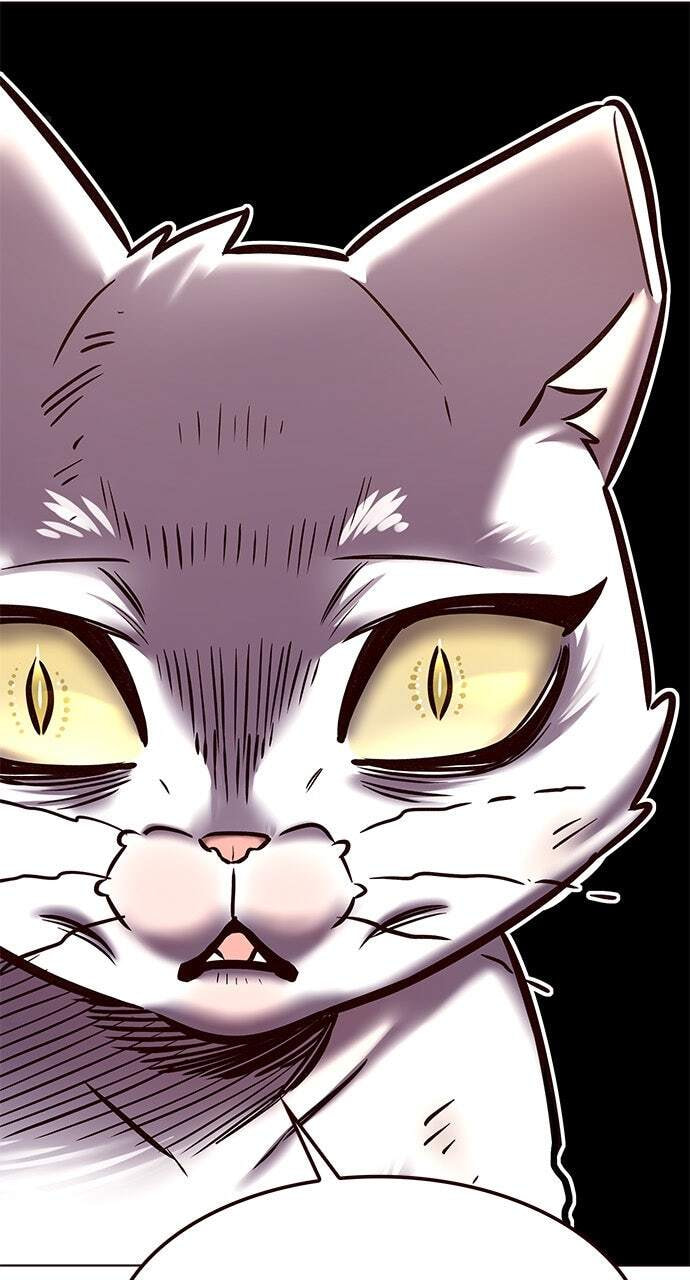 Eleceed Chapter 275 page 40 - 
