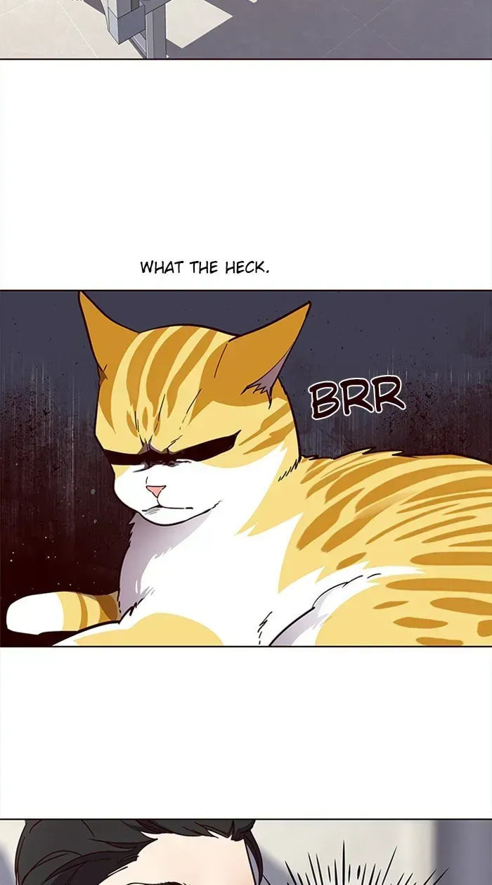 Eleceed Chapter 28.3 page 49 - 