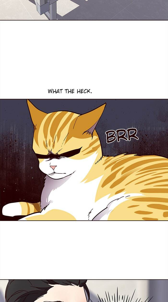 Eleceed Chapter 28 page 49 - 