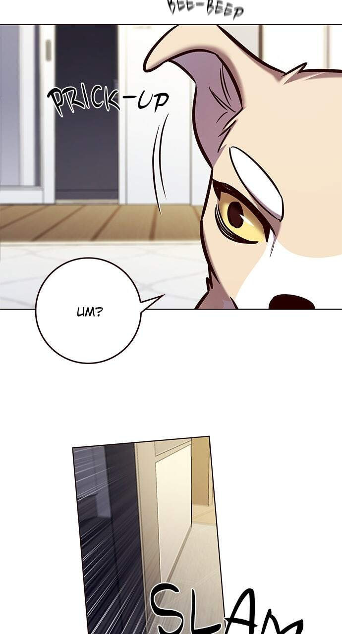 Eleceed Chapter 280 page 16 - 