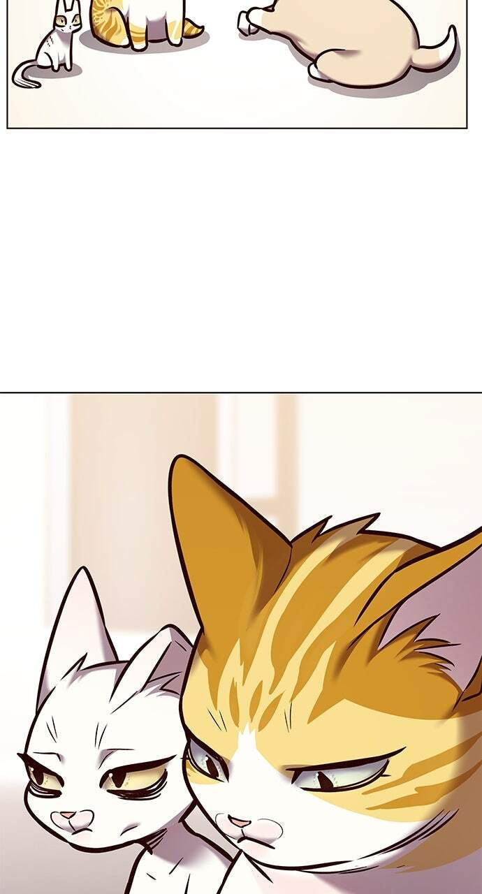 Eleceed Chapter 285 page 38 - 