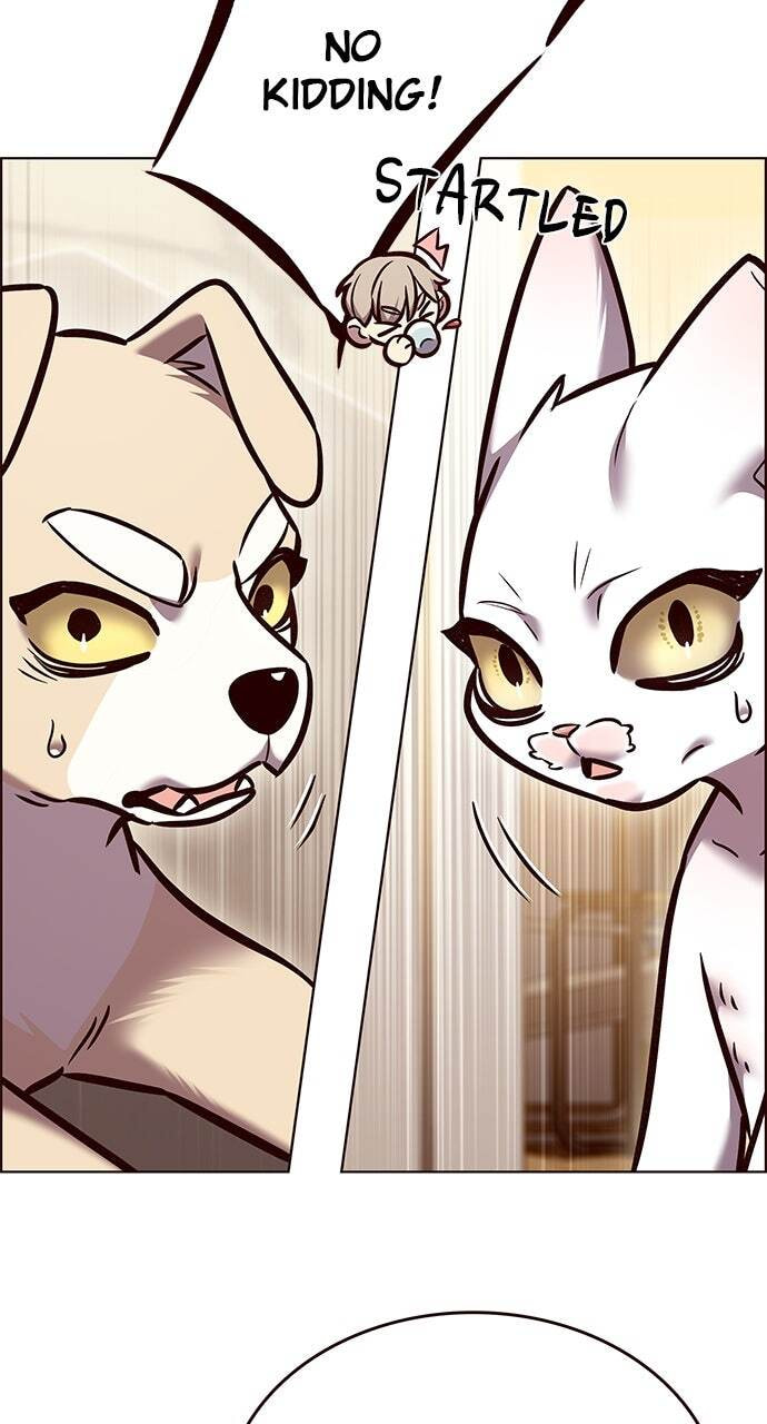 Eleceed Chapter 298 page 11 - 