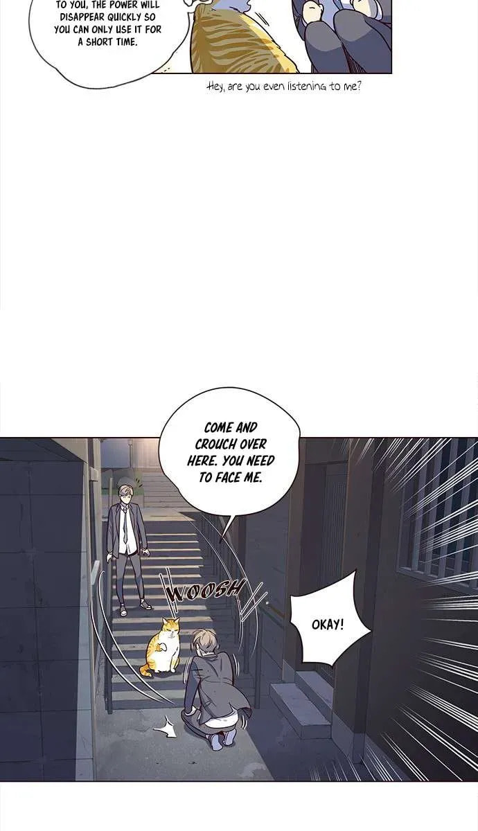 Eleceed Chapter 3.1 page 36 - 