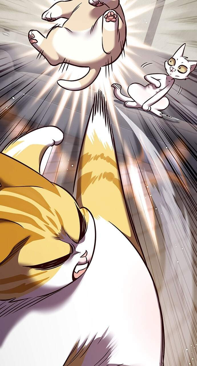 Eleceed Chapter 304 page 15 - 