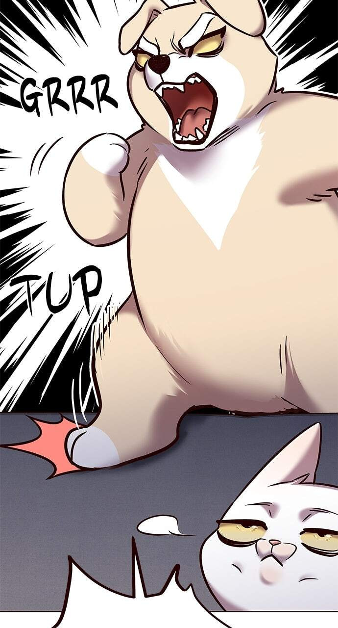 Eleceed Chapter 304 page 19 - 