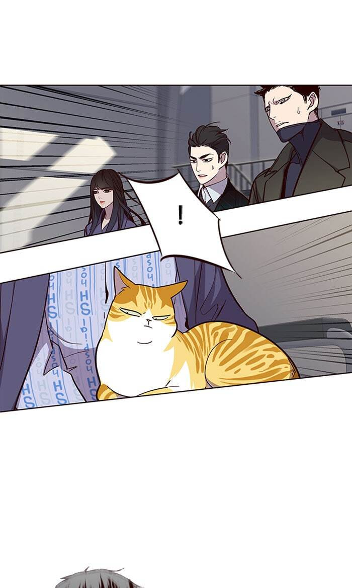 Eleceed Chapter 32 page 80 - 