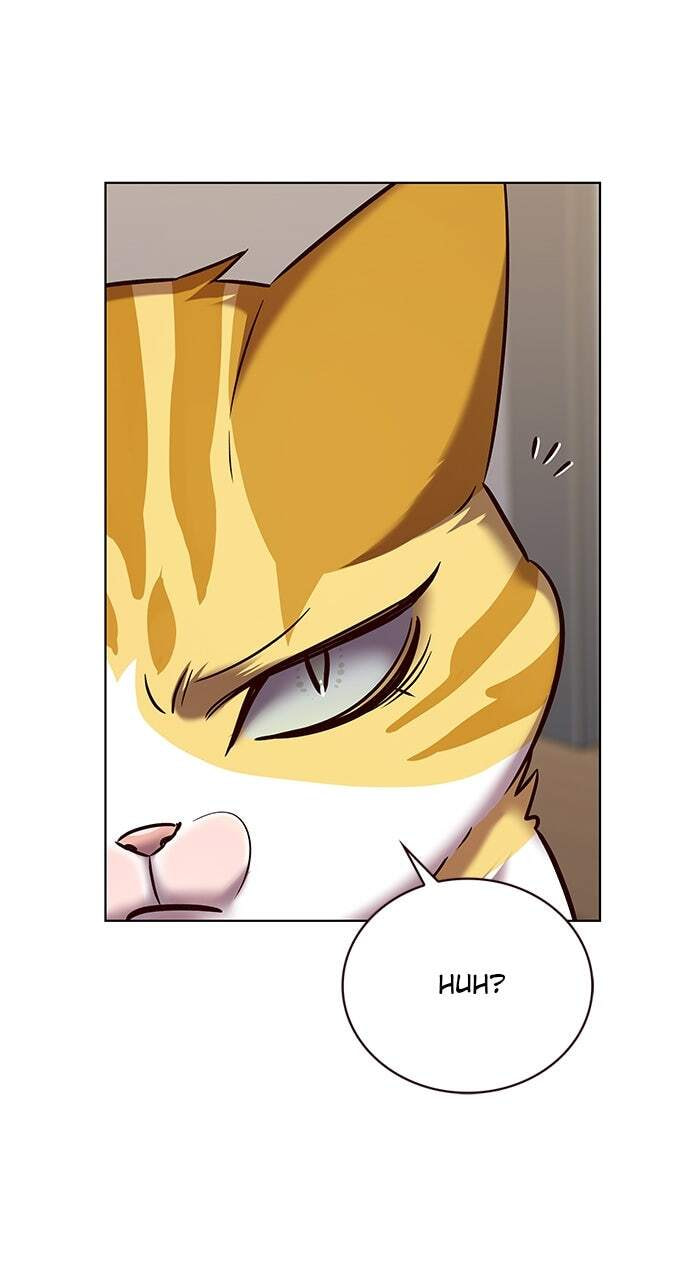 Eleceed Chapter 322 page 64 - 