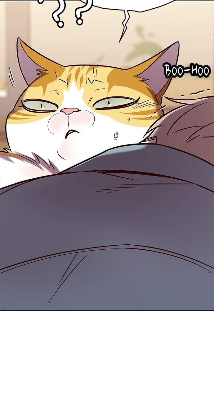 Eleceed Chapter 323 page 105 - 