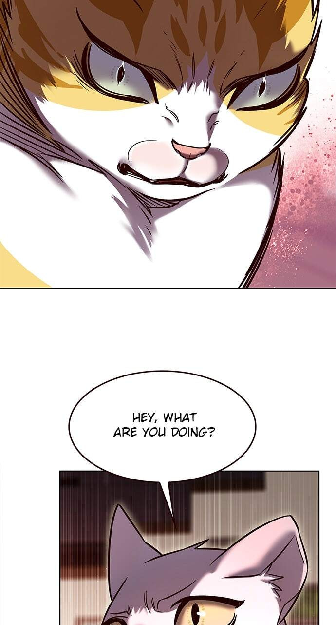 Eleceed Chapter 323 page 48 - 