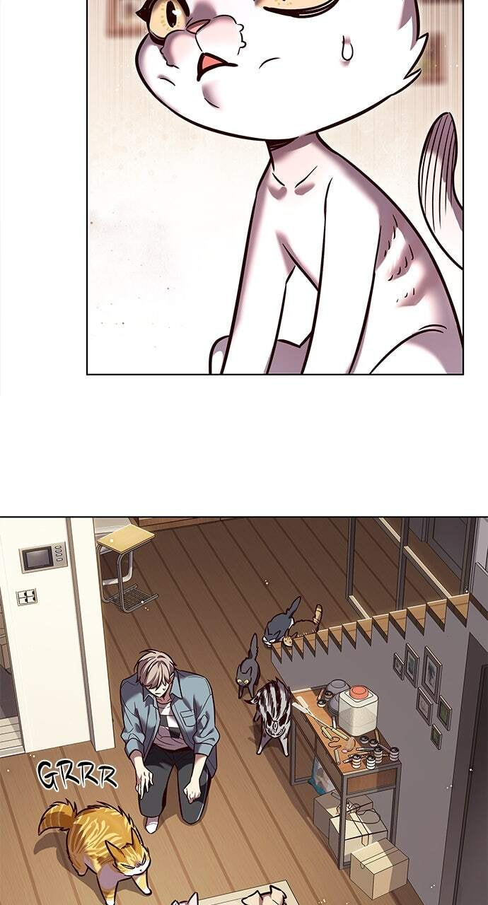 Eleceed Chapter 323 page 49 - 