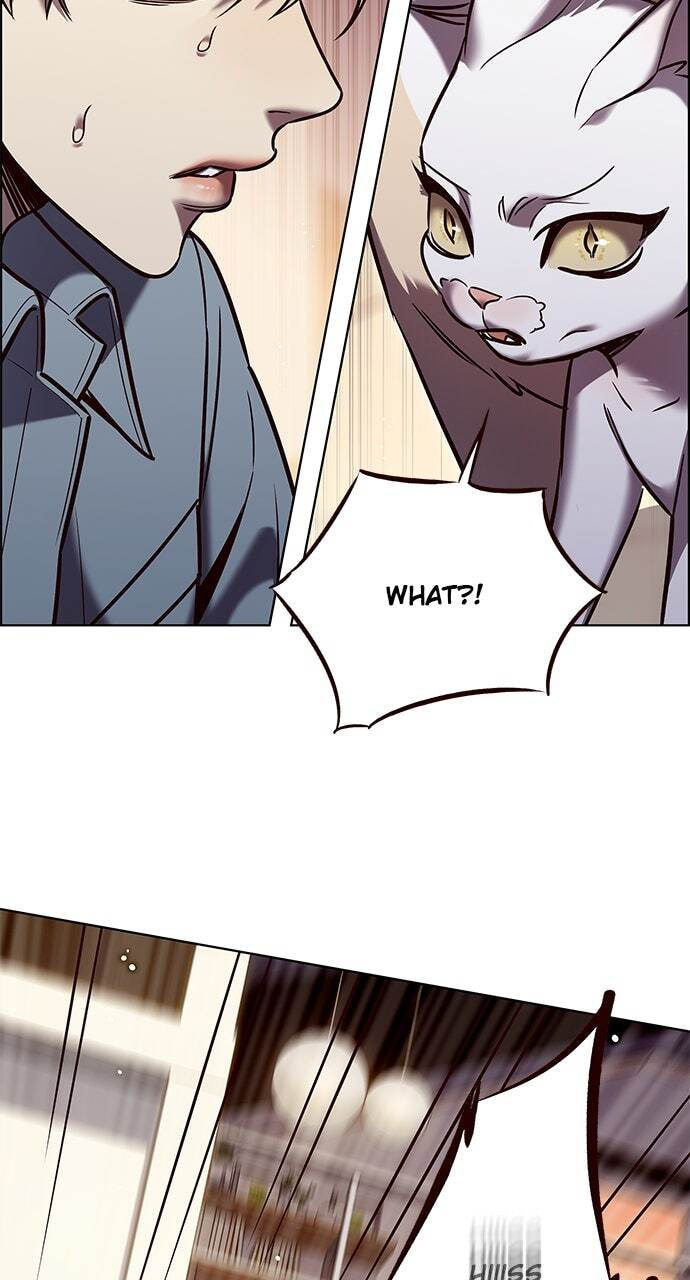 Eleceed Chapter 323 page 51 - 