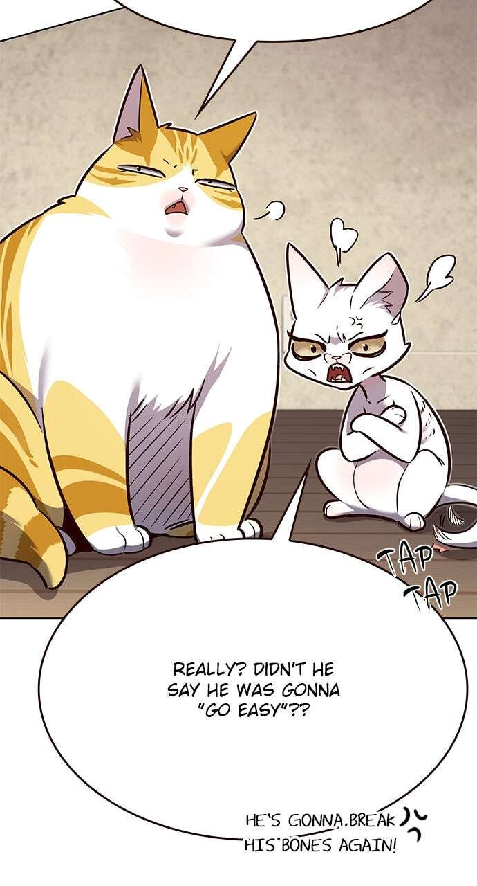 Eleceed Chapter 330 page 95 - 