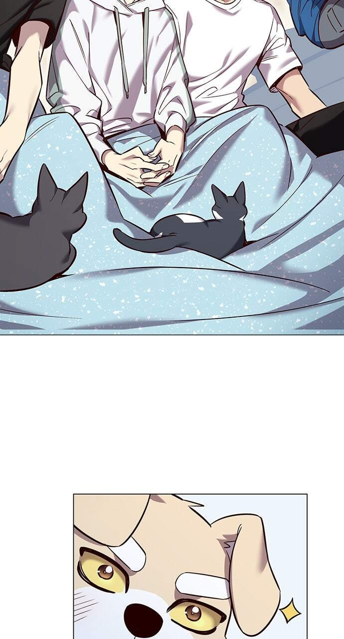Eleceed Chapter 345 page 80 - 