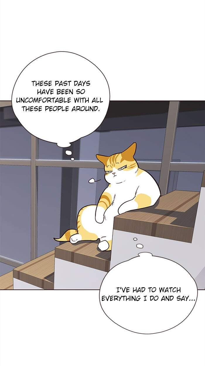 Eleceed Chapter 35 page 42 - 
