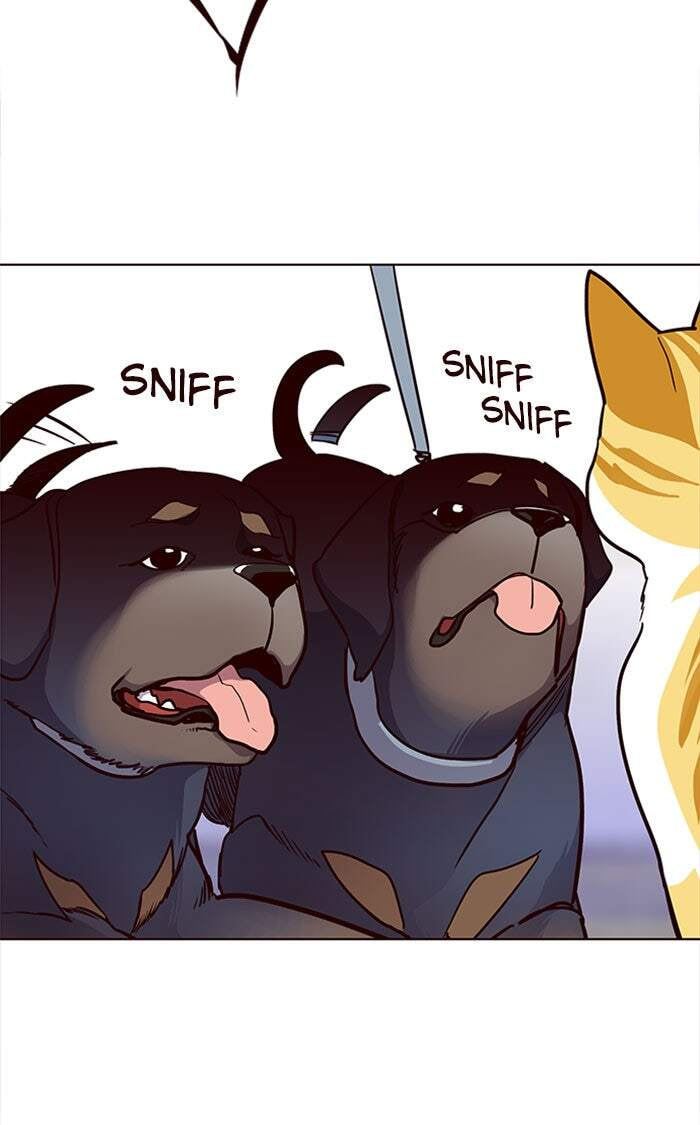 Eleceed Chapter 36 page 98 - 