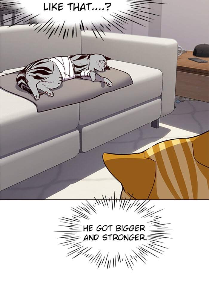 Eleceed Chapter 4 page 23 - 