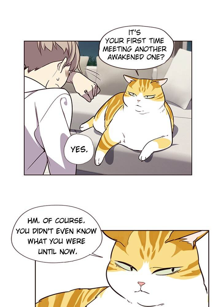 Eleceed Chapter 4 page 49 - 