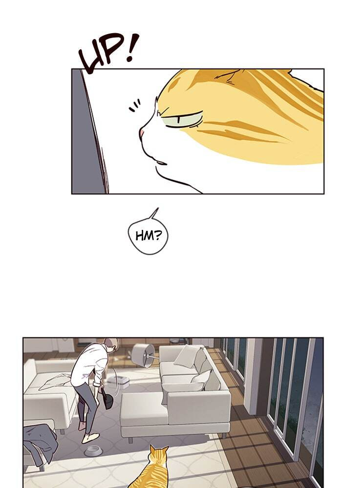 Eleceed Chapter 4 page 97 - 