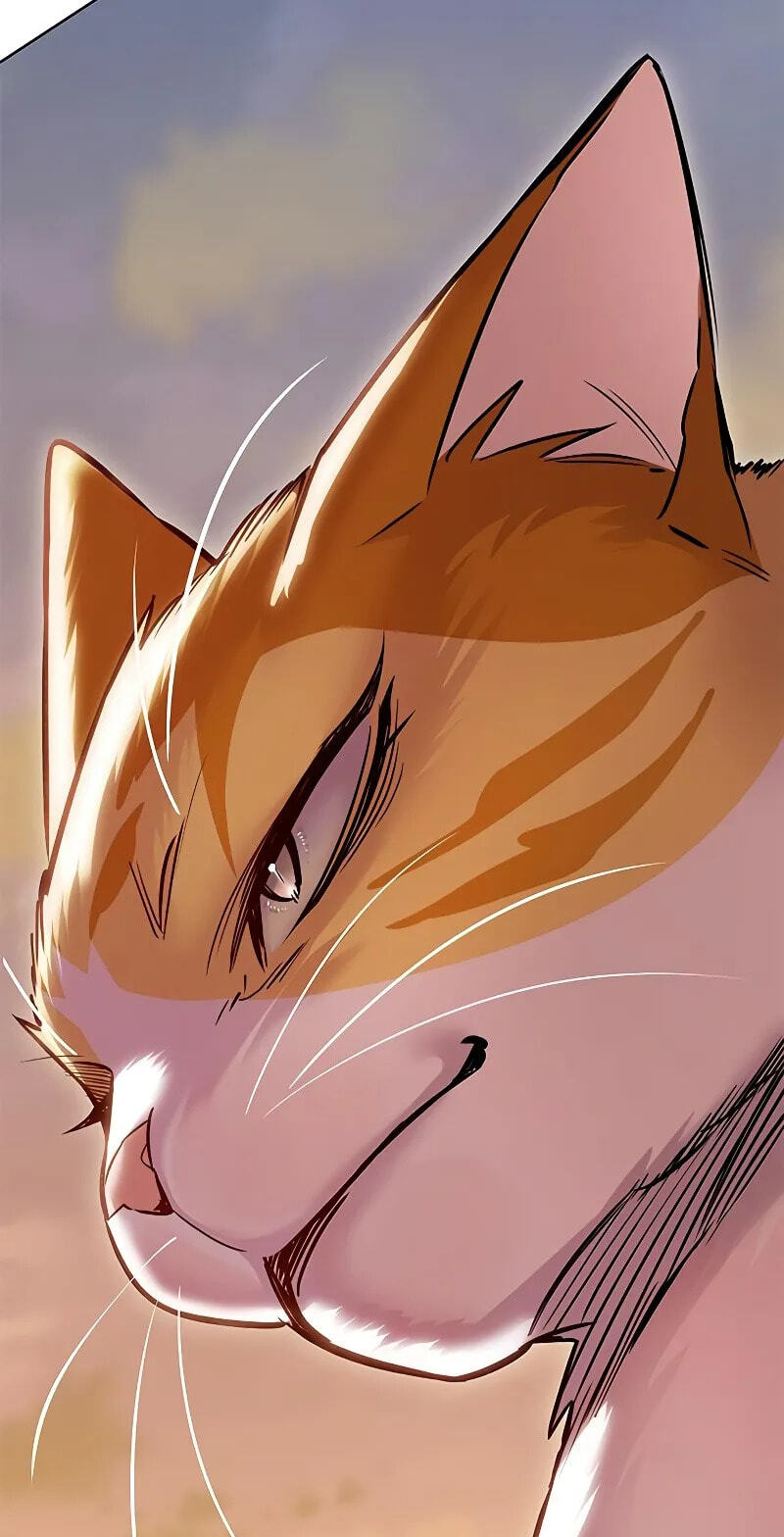 Eleceed Chapter 421 page 50 - 