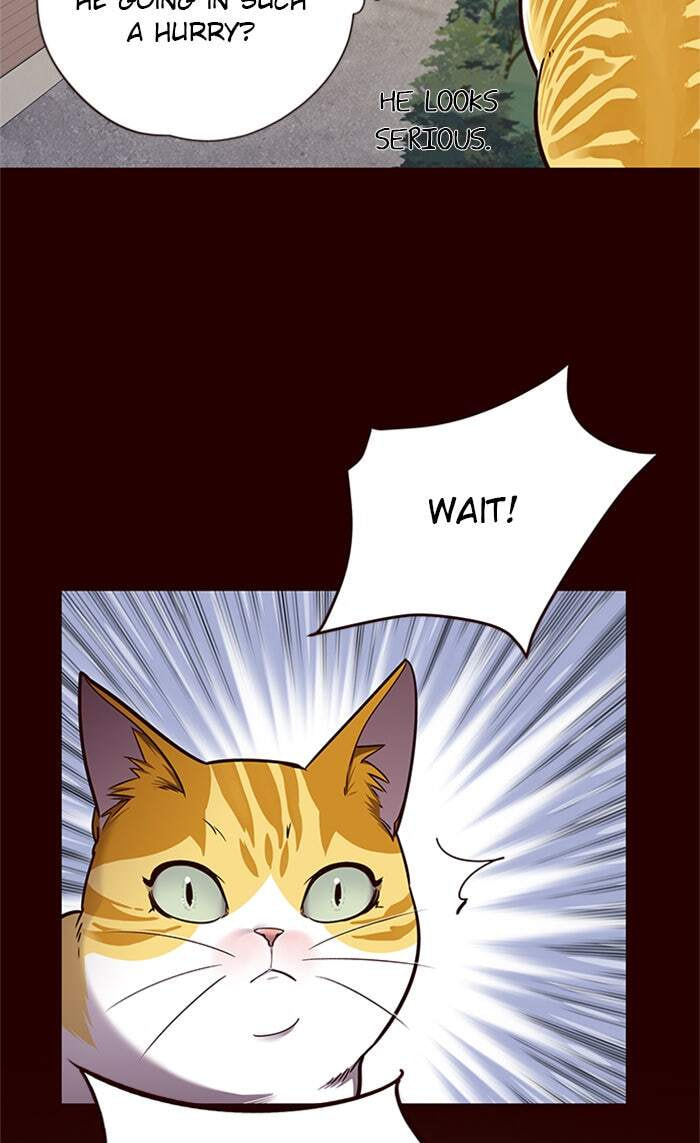 Eleceed Chapter 52 page 40 - 